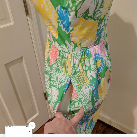 Lilly Pulitzer dress - Picture 5 of 6